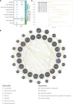 Identification of molecular subtypes based on chromatin regulator-related genes and experimental verification of the role of ASCL1 in conferring chemotherapy resistance to breast cancer